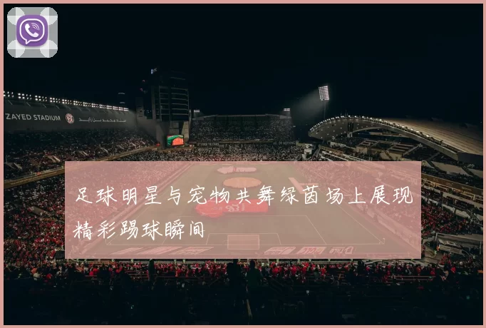 足球明星与宠物共舞绿茵场上展现精彩踢球瞬间