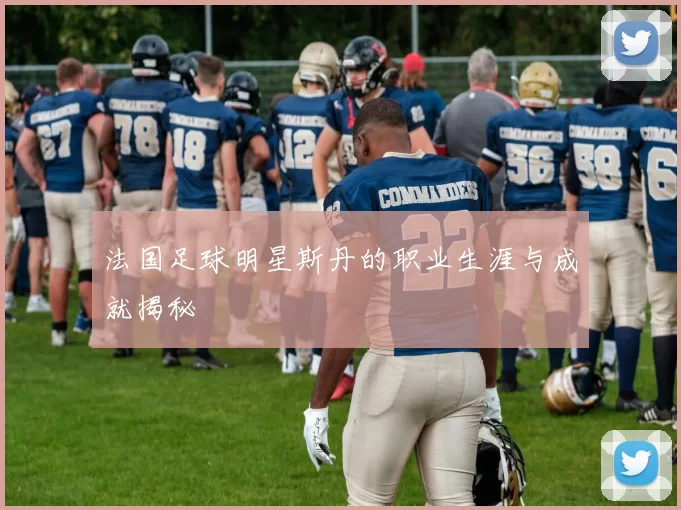 法国足球明星斯丹的职业生涯与成就揭秘