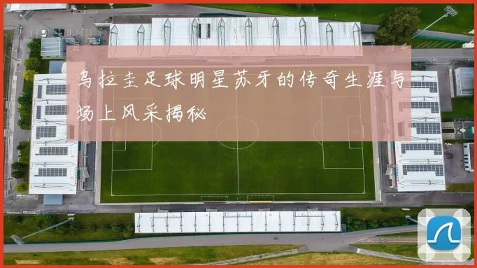 乌拉圭足球明星苏牙的传奇生涯与场上风采揭秘